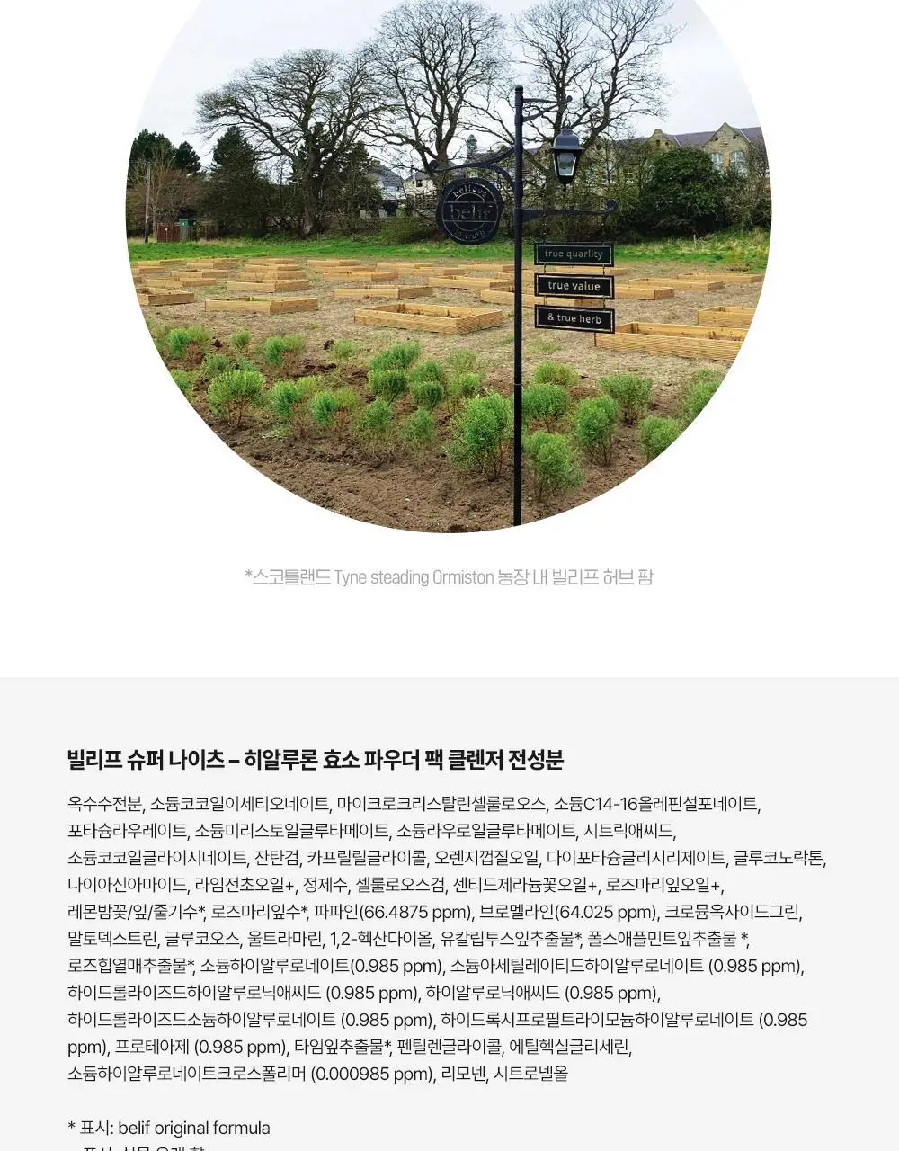 [NEW 효소] 빌리프 슈퍼 나이츠 히알루론 효소 파우더 팩 클렌저 55g 상세페이지 29